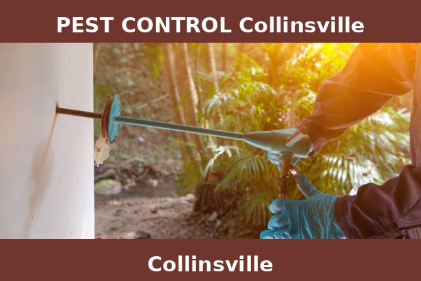 PEST CONTROL Collinsville